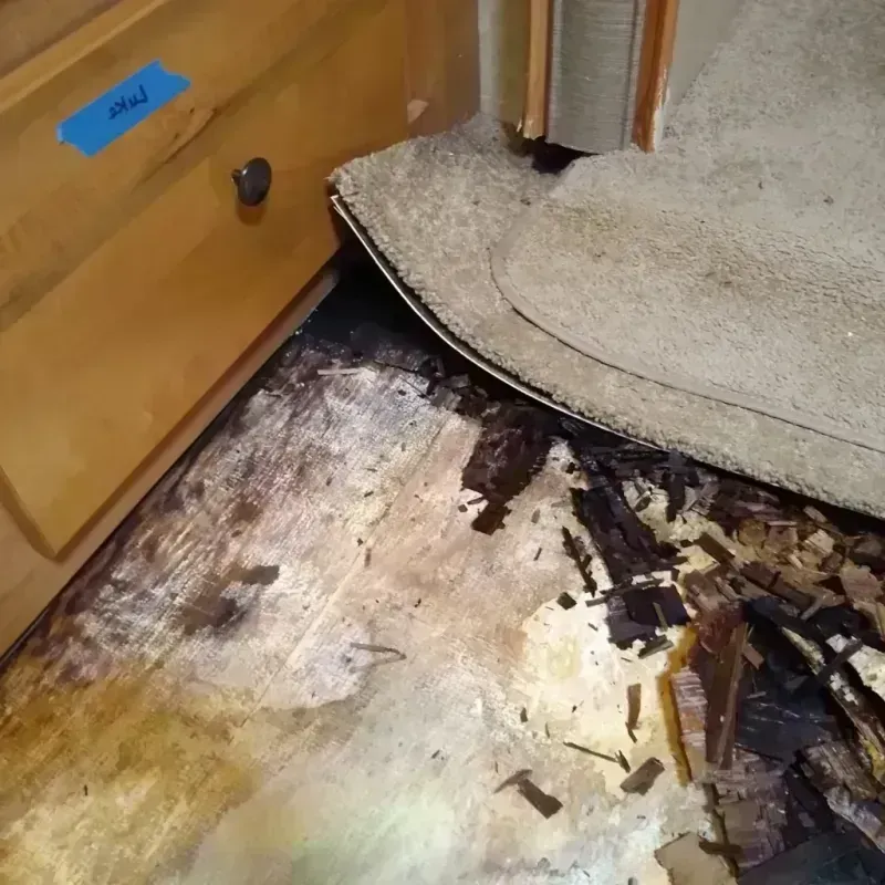 Wood Floor Water Damage in North Saint Paul, MN